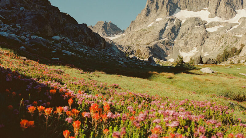 Brian Chorski’s New Book Presents A Sun-Soaked Image of The West