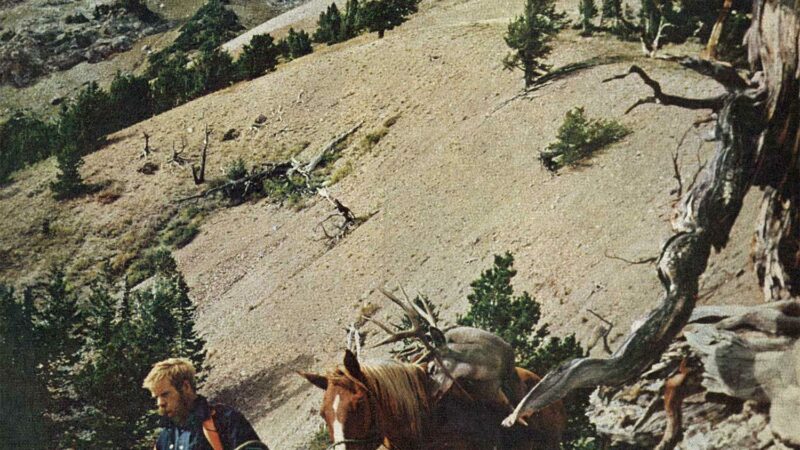 Carmichel in the Backcountry: A Packtrain Pileup, Quick Shooting, and a Trophy Buck