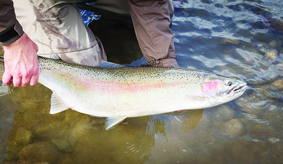 Commentary: Funding to pay for Ohio river gauges is of ultra-importance – Outdoor News