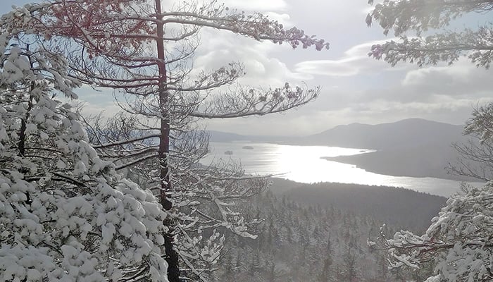Commentary: Proposed cuts to forestry program more than problematic – Outdoor News