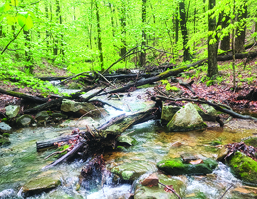 High-value stream tainted by lead in Somerset County, Pa. – Outdoor News