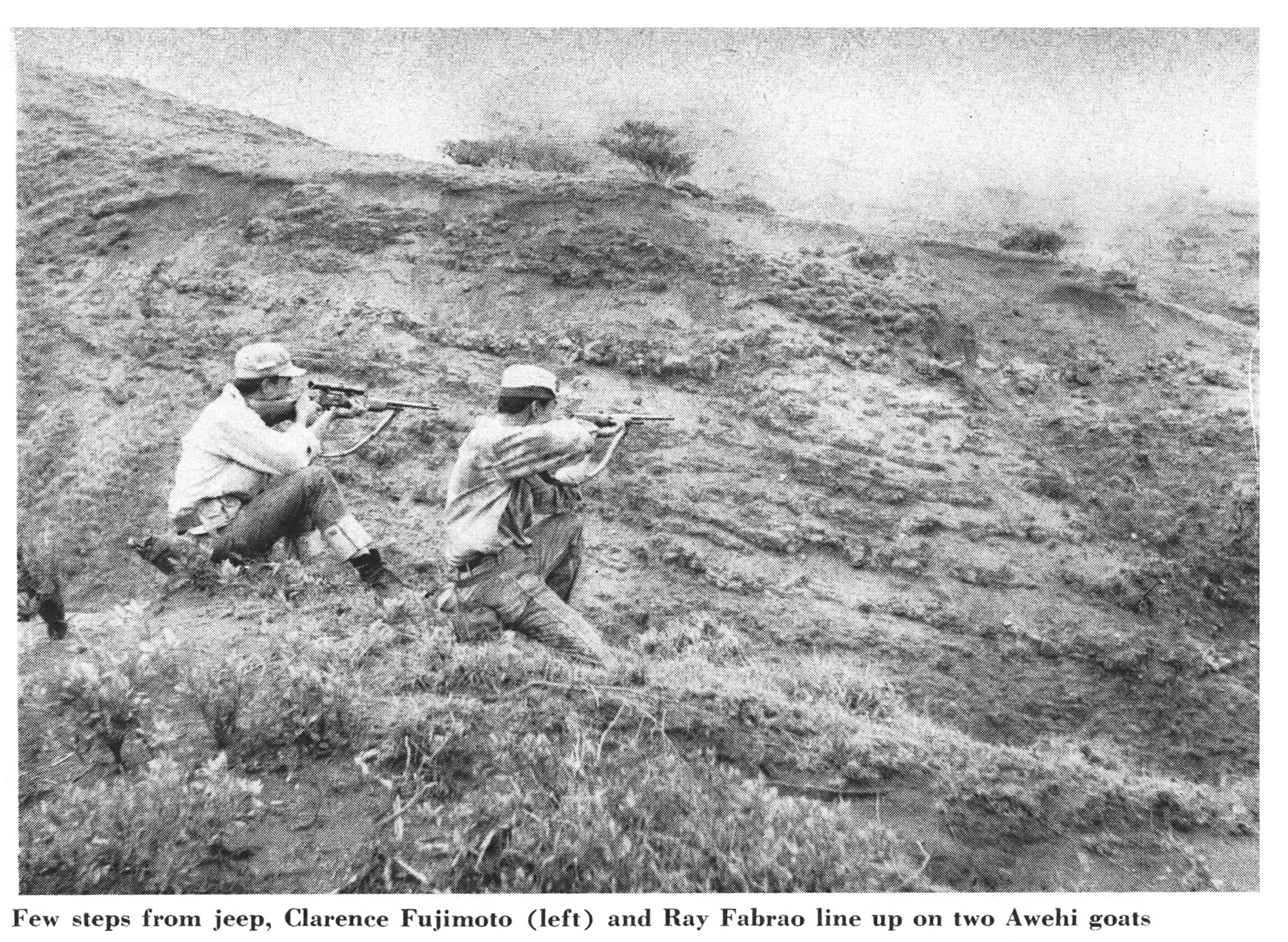 An old black and white photo of two men goat hunting on Lanai.