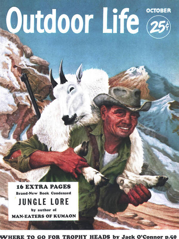 Outdoor Life cover art