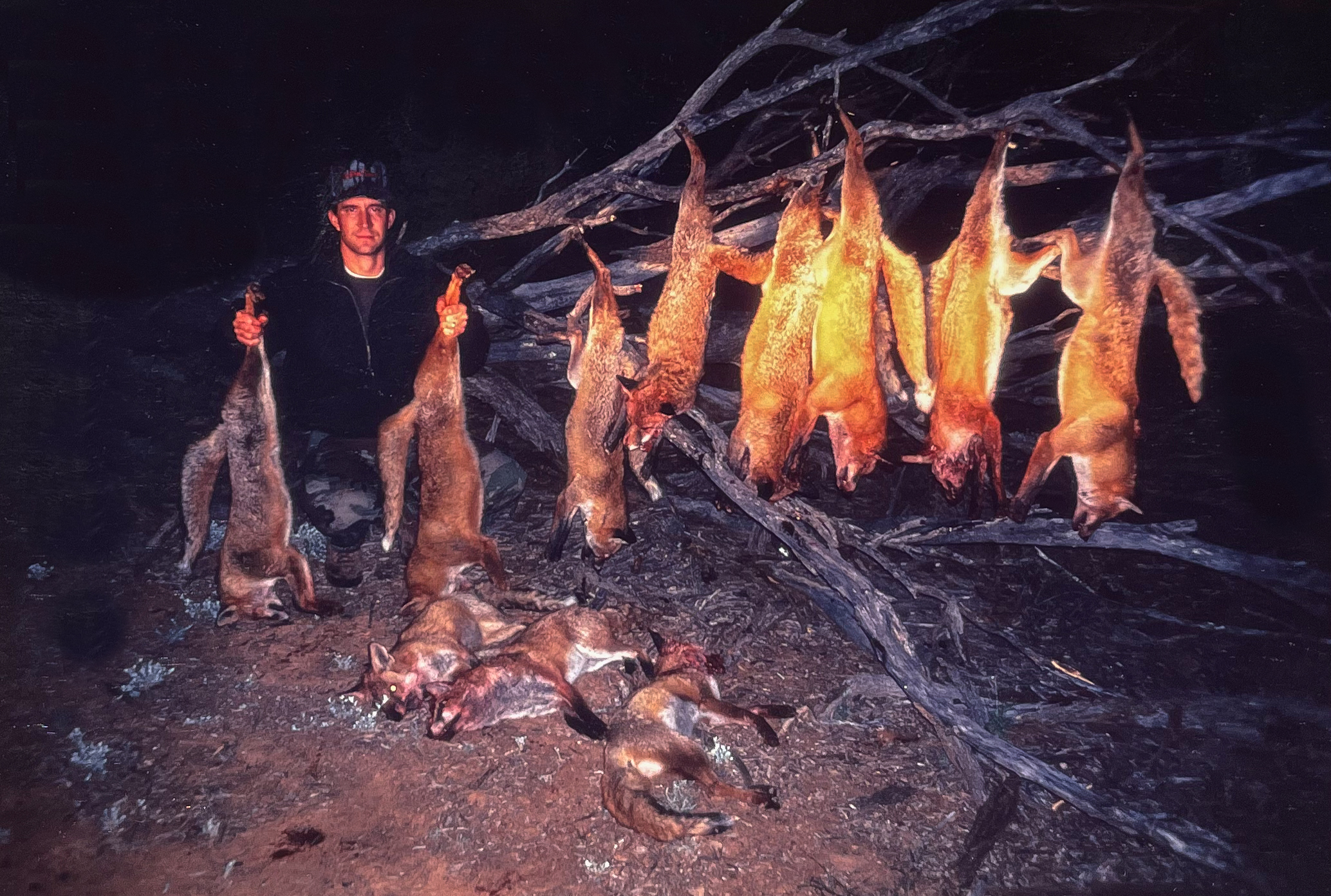 fox hunting