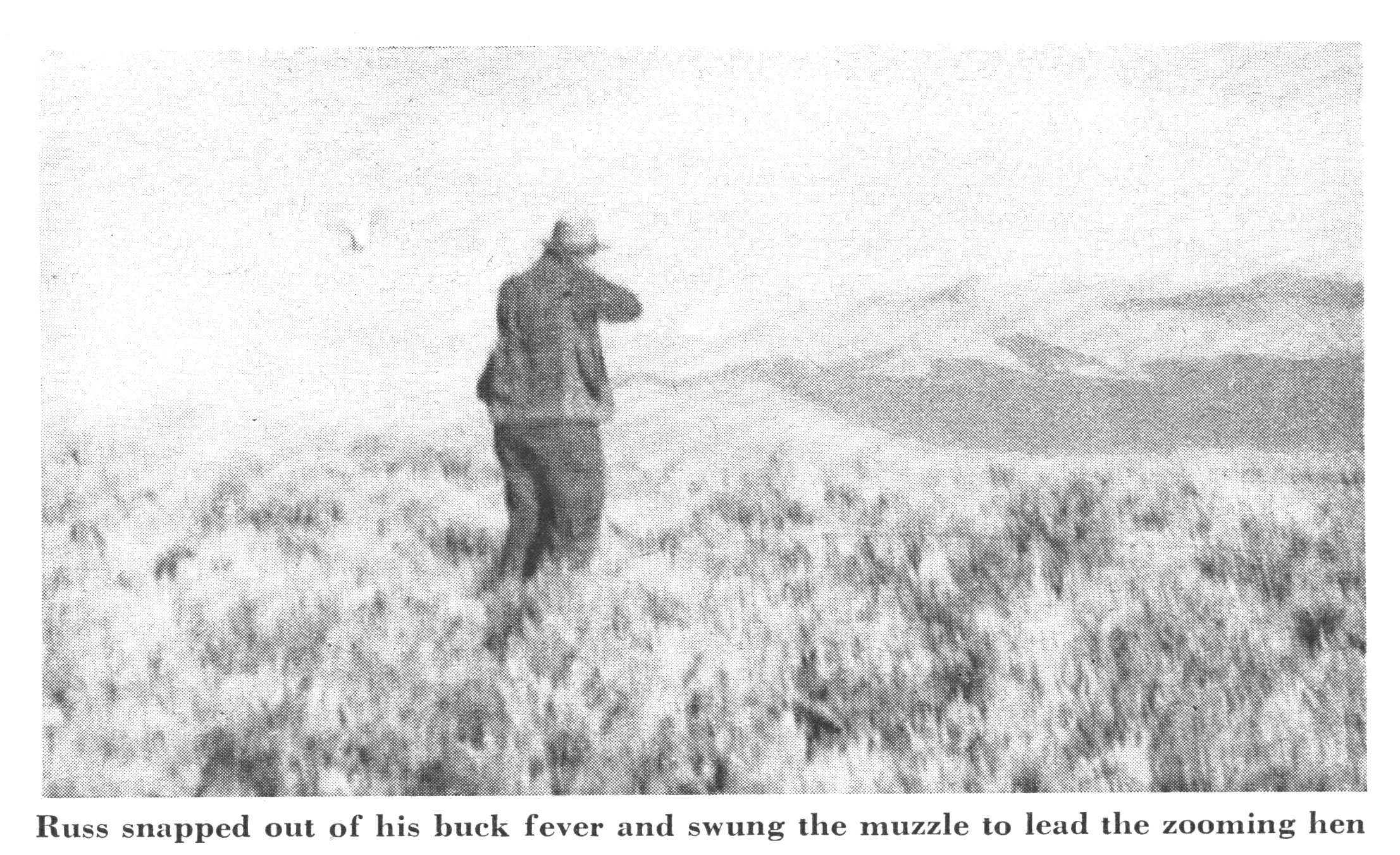 A black and white photo of sage grouse hunting