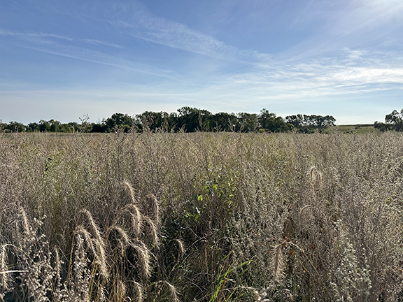 Izaak Walton League of America: More funding should be pumped into nation’s Farm Bill – Outdoor News