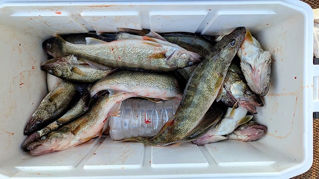 Jeff Frischkorn: A day the waves weren’t too ornery on Ohio waters of Lake Erie – Outdoor News