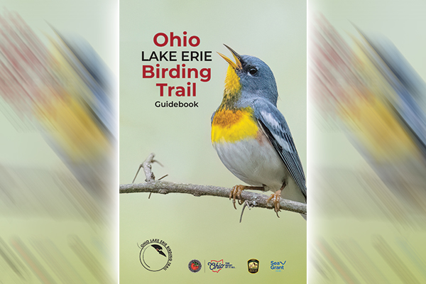 Lake Erie Birding Trail guidebook updated, enhanced – Outdoor News