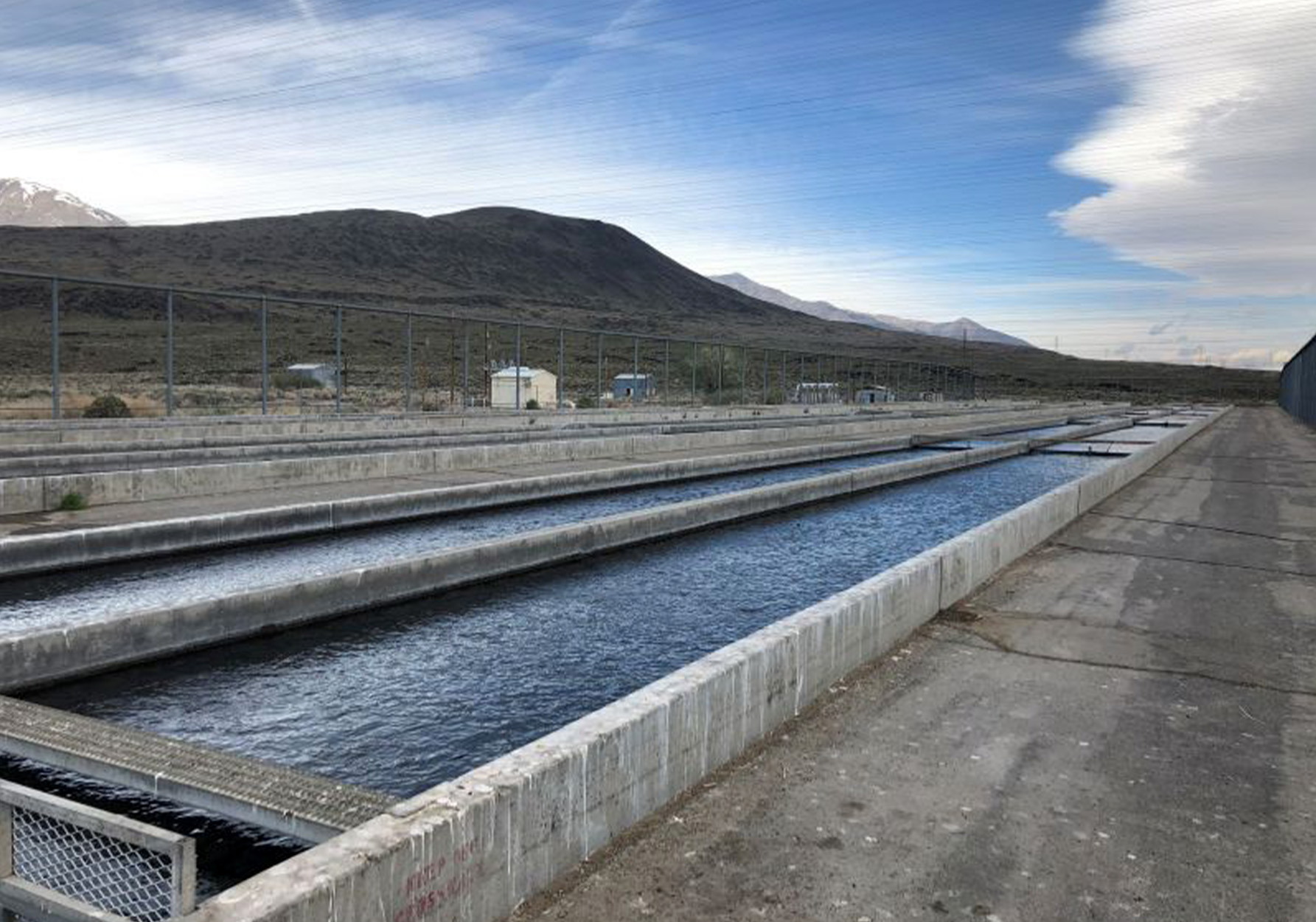 A raceway at a trout hatchery in California.