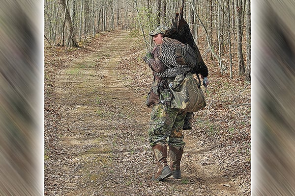 Minnesota turkey hunters set new harvest record in spring 2025 – Outdoor News