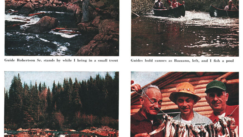 My Buddies and I Caught 500 Wild Trout in 3 Days on an Old-Fashioned Canoe Trip