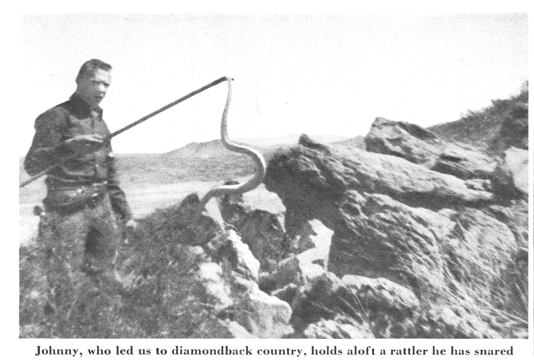 A black and white photo of a man holding up a snared rattler.