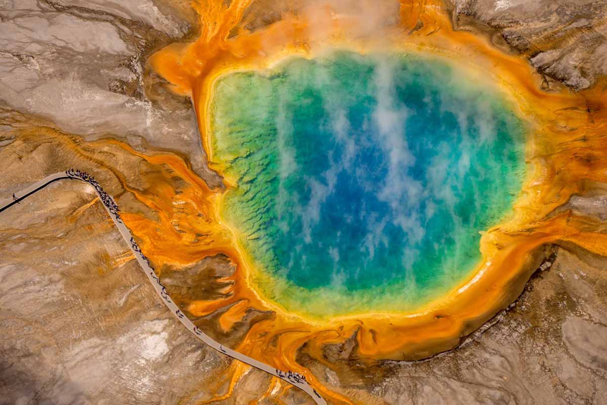 Aerial shot of multi-hued spring.