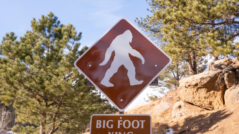 Sasquatch Sighting in Colorado? See the Latest Bigfoot Video