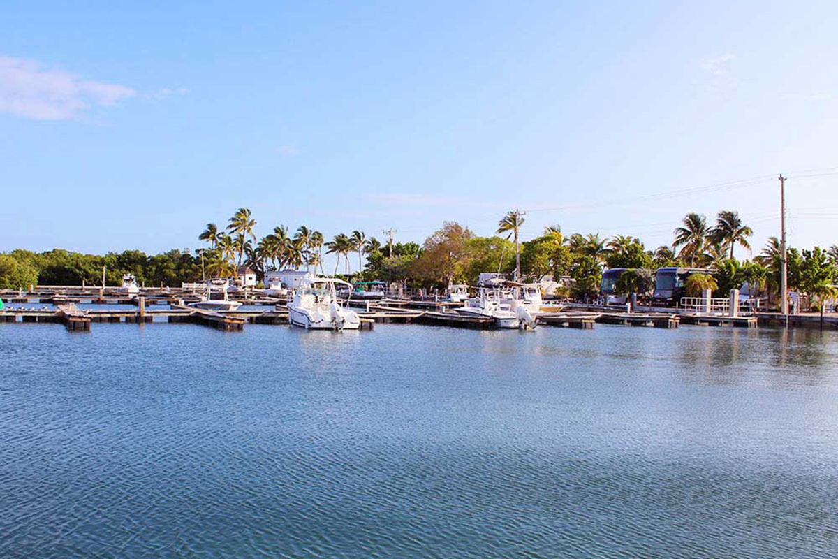 A marina adjacent to an RV park.