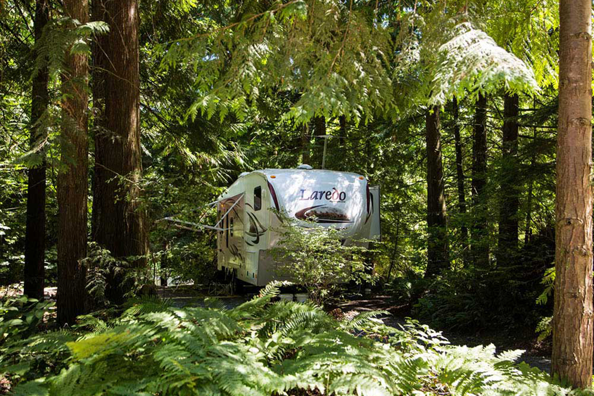 Trailer in lush Pacific Northwest Forest.