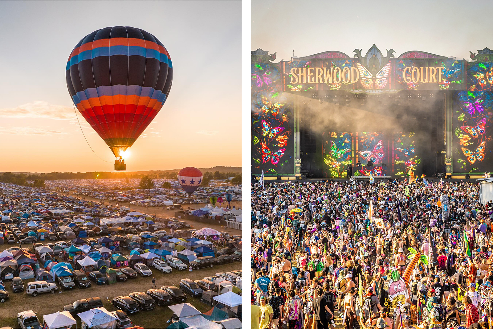 Electric Forest with hot air balloon.