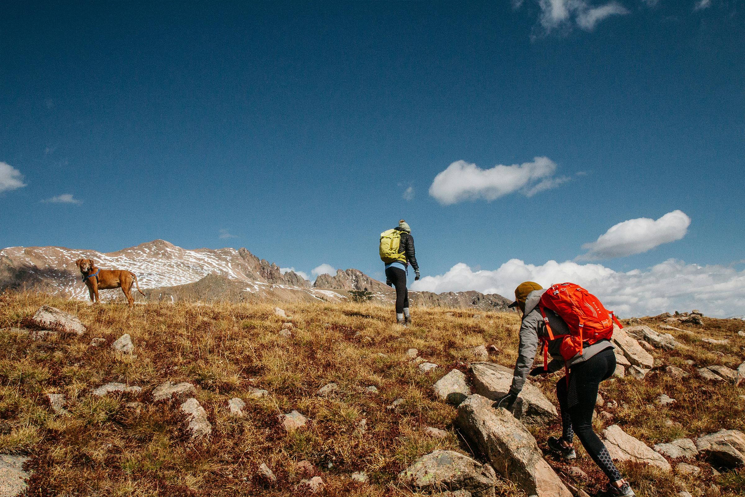 Mountain climbers