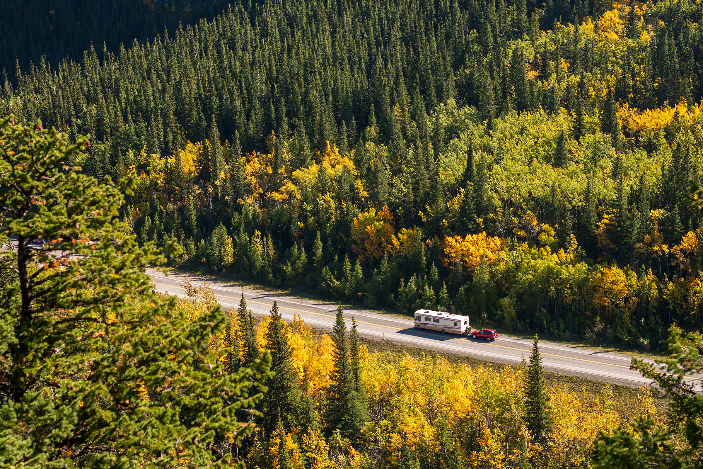 RV on the road through a forest