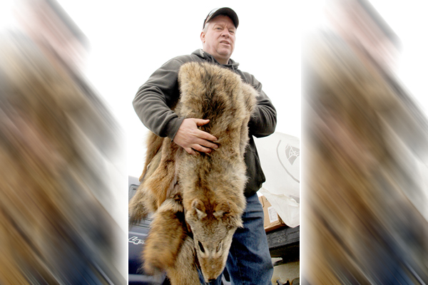 Trappers face low prices for foreseeable future amid global conflicts, uncertainty – Outdoor News